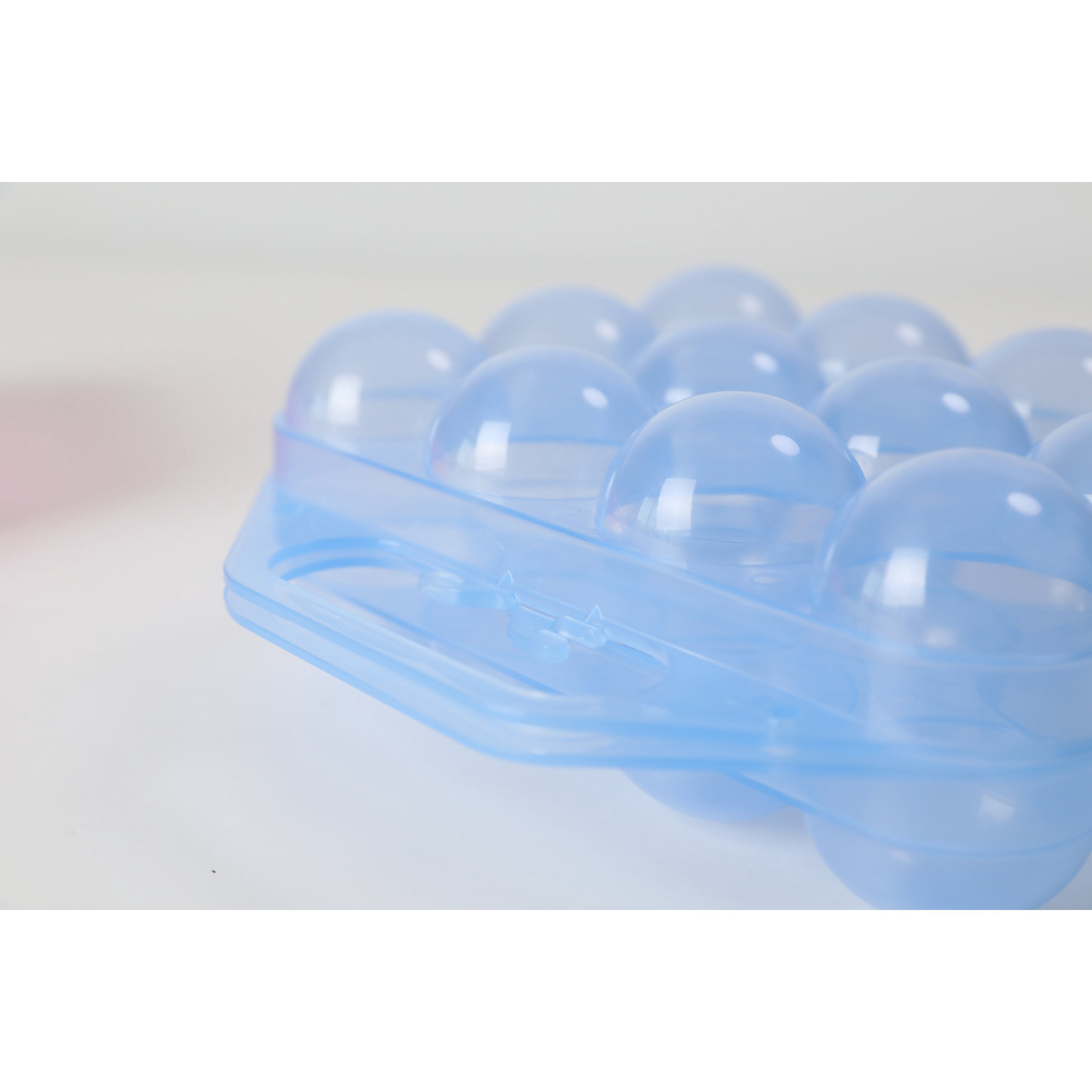 Clear Plastic Egg Carton-12 Egg Holder Carrying Case with Handle