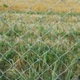 thumbnail image 4 of ALEKO Galvanized Steel Chain Link Fence Fabric - 11.5-AW Gauge - 4 X 50 Feet (1.2 X 15m), 4 of 10