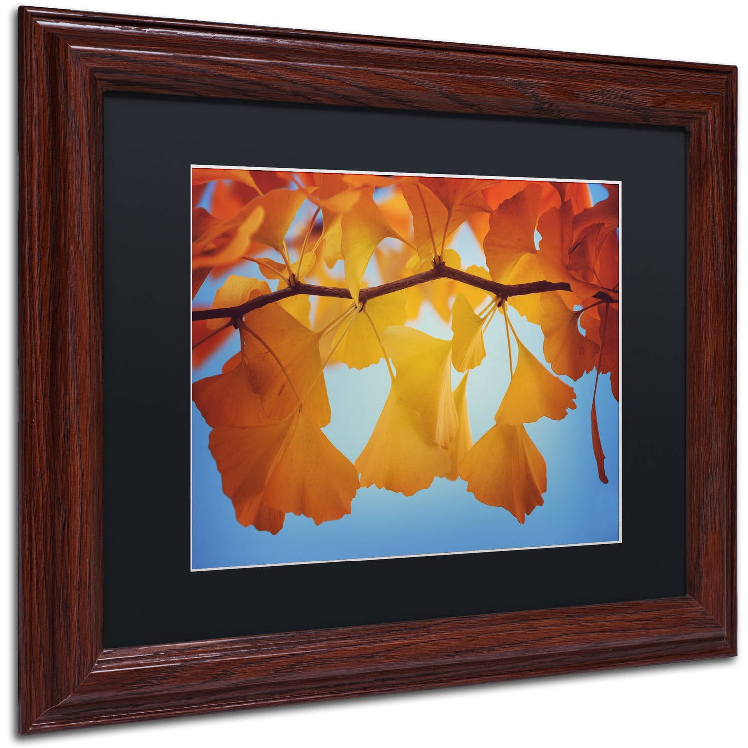 Trademark Fine Art "Spiritual Food" Canvas Art by Philippe Sainte-Laudy Black Matte, Wood Frame