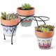 thumbnail image 3 of unique 2pcs Gardening potted plants, Flower Pot For Home, 3 of 3