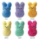 thumbnail image 3 of Peeps Easter Plush Bunny Rabbit Easter Cartoon Rabbit Ornaments Children's Days Valentine's Day Birthdays Gift, 3 of 4