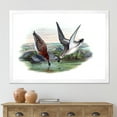 thumbnail image 3 of Designart 'Vintage Countryside Two Birds In Lake' Farmhouse Framed Art Print, 3 of 4