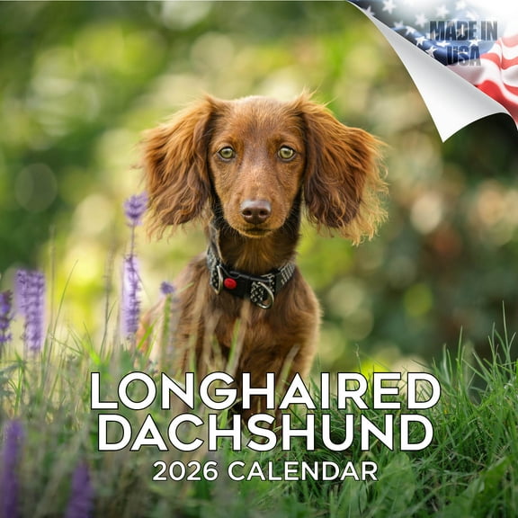 2025 2026 Longhaired Dachshund Calendar - Dog Breed Monthly Wall Calendar - 12 x 24 Open - Thick No-Bleed Paper - Giftable - Academic Teacher's Planner Calendar Organizing & Planning - Made in USA