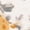 Ivory/Gold, variant on Safavieh Jardin Mitchell Floral Area Rug, Ivory/Gold, 4' x 6'