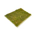 thumbnail image 4 of MERIGLARE Miniature Grass Cluster Miniature Plants Model Grasses for Sand Layout Model C, 4 of 9