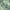 Green, variant on In- & Outdoor Rug Jungle Design with Palm Trees in Green White