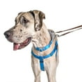 thumbnail image 4 of Turquoise Freedom No-Pull Dog Harness, 4 of 7