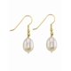 thumbnail image 1 of Aretes de Chapa de Oro con perla cultivada AAA GREG J.M., 1 of 4