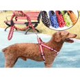 thumbnail image 3 of Brillante conjunto de arnés de perro Puppy Leash Training Collar Traction Rope Red Sunnimix Set de arnés de perro, 3 of 8