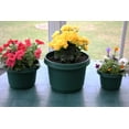 thumbnail image 6 of Austin Planter Hanging Pots 12 In Solid Print Round Hanging Planters with Drainage Holes 5 Count, 6 of 11
