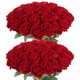 thumbnail image 1 of Cloudecor 50 Rosas Rojas Artificiales, Rosas Falsas, Flores De Seda De Terciopelo Sintético Para Decoración Del Hogar, Boda (Rojo Rosa Perla), 1 of 5