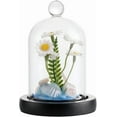 thumbnail image 2 of 1 bag Cloche Glass Dome 70x122mm Glass Bell Jar Display Case with Wooden Base Glass Domes Cloche Display Dome Decorative Glass Cloche Dome for Wedding Home Plants Christmas Party Favor Decor, 2 of 6