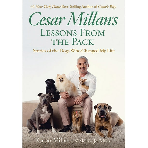 Cesar Millan's Lessons from the Pack Stories of the Dogs