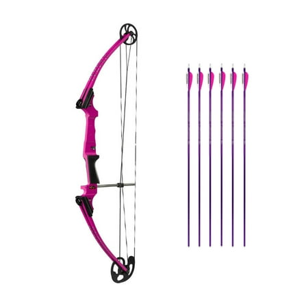 Genesis Archery Original Compound Bow (Left Hand, Purple) with Arrows
