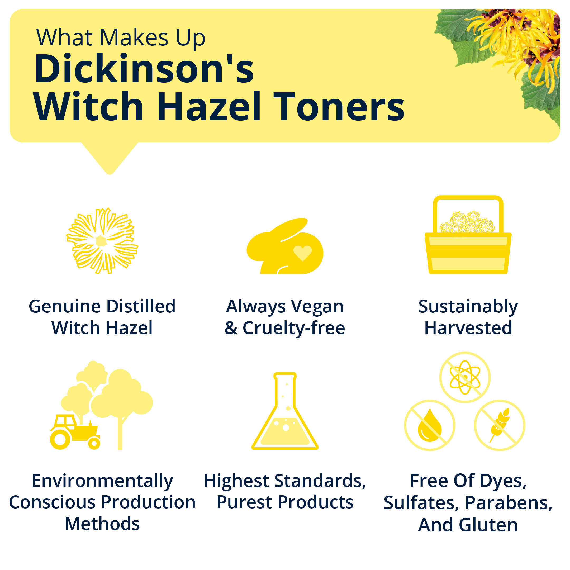 Dickinson's  Alcohol Free Witch Hazel Hydrating Toner with Rosewater, 98% Natural Formula, 16 fl oz - image 4 of 9