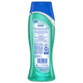 thumbnail image 2 of Dial Body Wash, Sea Minerals, 16 fl oz, 2 of 8