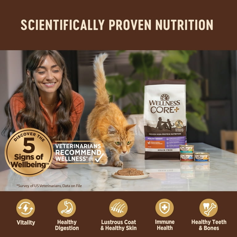 Wellness Digestive Health Pate for Cats, Wet Food with Salmon