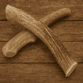 thumbnail image 3 of 2 Pack - Large, Premium Deer Antlers for Dogs, All Natural Dog Chews - Grade A - WhiteTail Naturals, 3 of 7