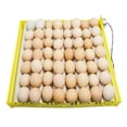 thumbnail image 3 of Rotatorio automático de 360 grados, bandeja giratoria para huevos, , codorniz, aves, huevos de aves de corral 56 Huevos 9 Varillas Zulema Bandeja de eclosión automática, 3 of 8