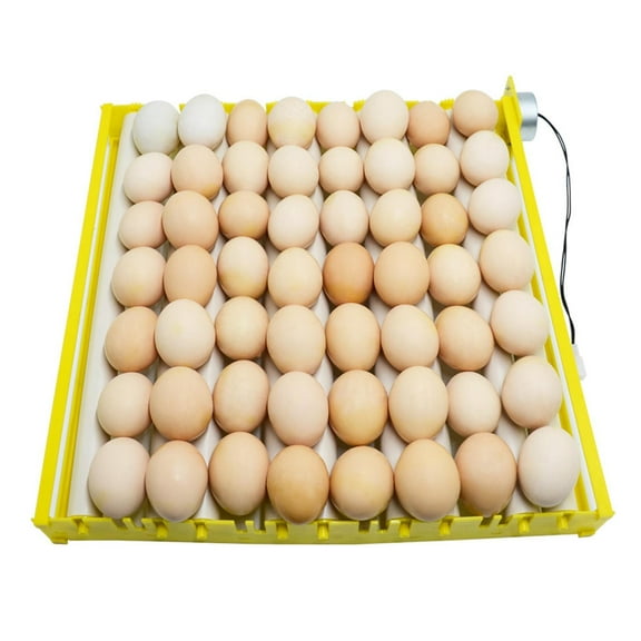 F Fityle Automatic Hatching Tray 56 Egg Chicken Egg Incubator with Temperature Control