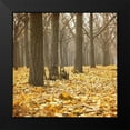 thumbnail image 2 of Kimberly, Allen 20x20 Black Modern Framed Museum Art Print Titled - Forest Floor 1, 2 of 5