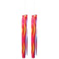 thumbnail image 1 of 2Pcs Pride Month Decorative Windsock Flag Creative Garden Hanging Wind Flag, 1 of 7