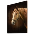 thumbnail image 2 of Designart 'Brown Horse With White Nose Portrait' Farmhouse Print on Natural Pine Wood, 2 of 5