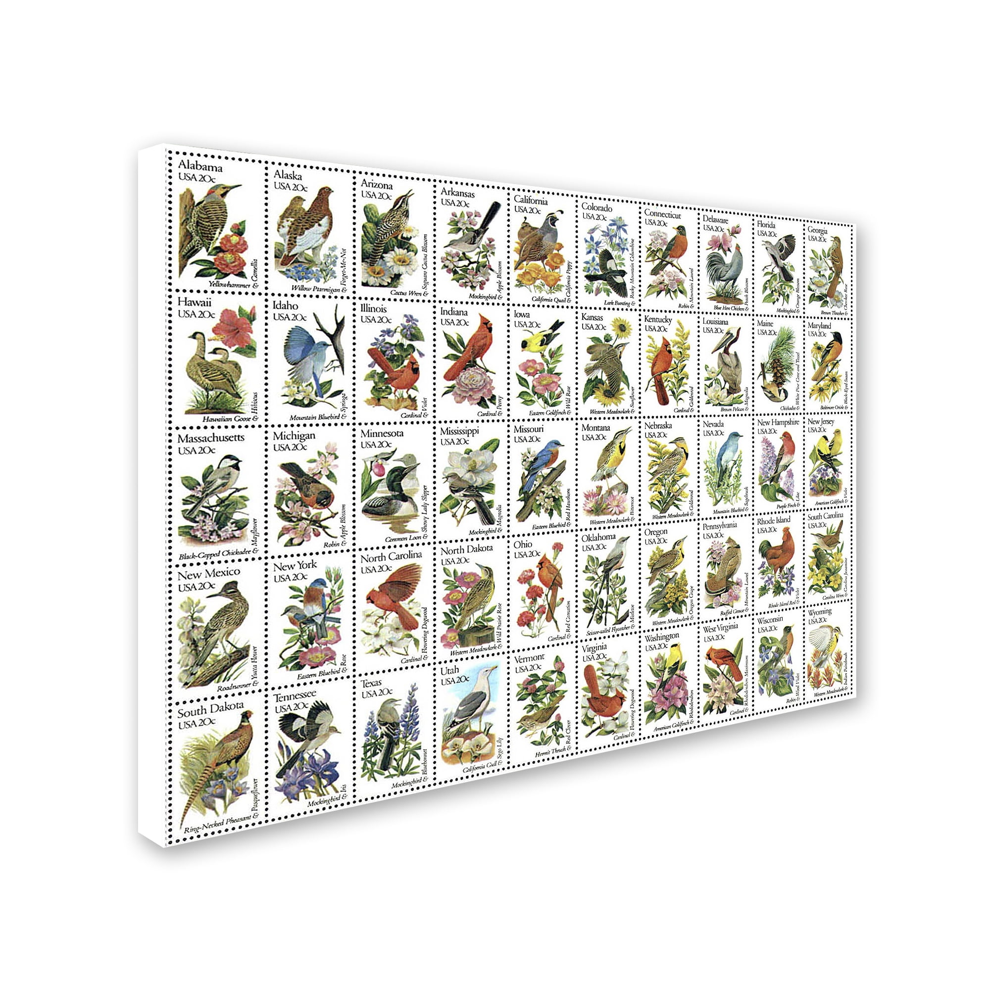 Trademark Fine Art '50 Birds' Canvas Art by Vintage Apple Collection