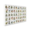 thumbnail image 2 of Trademark Fine Art '50 Birds' Canvas Art by Vintage Apple Collection, 2 of 3