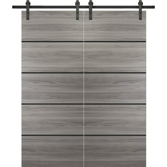 Sturdy Double Barn Door 36 x 80 inches with | Planum 0015 Ginger Ash with Frosted Glass | Stainless Steel 13FT Rail Hangers Heavy Set | Solid Panel Interior Doors