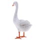 thumbnail image 3 of ración Artificial Simulado Cisne to Arte Estatuilla Exhibición #1 1 Cola Cisne simulado, 3 of 7