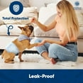 thumbnail image 6 of American Kennel Club Male Dog Wrap, Disposable Diapers with Wetness Indicator, Medium, 50 Count, 6 of 8