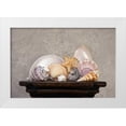 thumbnail image 3 of C. Thomas McNemar 14x11 White Modern Wood Framed Wall Art Titled - Seashell Still Life II, 3 of 5
