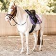 thumbnail image 6 of Horze Magical Carousel Pony Saddle Pad, 6 of 8