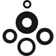 thumbnail image 3 of Winderosa 822217 Oil Seal Kit, 3 of 4