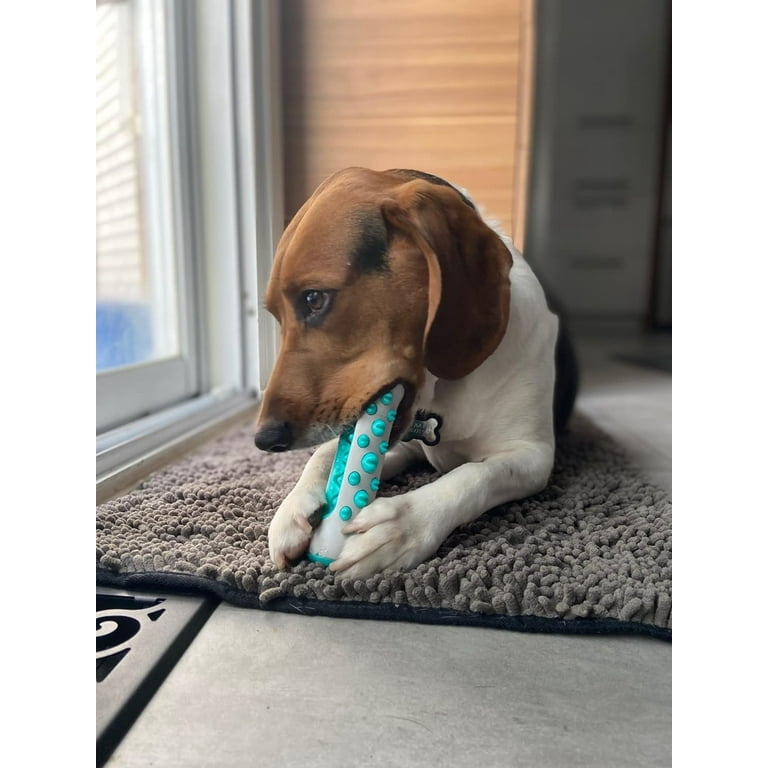 Bully proof dog toys hot sale