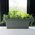thumbnail image 6 of Bloem Amelia 18" Plastic Window Box Planter - Indoor/Outdoor, Fluted Texture, for Windowsills, Garden & Patio, Basil, 6 of 7