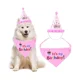 thumbnail image 2 of Conjunto de gorro de cumpleaños para bufanda para mascotas, bufanda para gorro de fiesta para perros, regalo de cumpleaños ideal para mascotas (1 pieza, rosa), 2 of 5