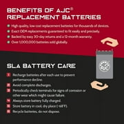 APC Back-UPS Back-UPS 1400VA BP1400 12V 18Ah UPS Battery - This Is an AJC Brand Replacement
