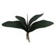 thumbnail image 5 of unbranded Rama Verde Con Hojas De Artificiales Para De Casa Oficina Y Eventos, 5 of 7