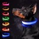 thumbnail image 2 of Collar para perros con luz LED brillante, ajustable, intermitente, recargable, luminoso, arnés con luz nocturna antipérdida para perros pequeños, productos para mascotas, 2 of 5
