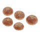 thumbnail image 4 of 5 piezas de decoración secos naturales manualidades DIY decoración de accesorios s, 4 of 8