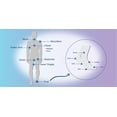thumbnail image 4 of Set de regalo Body & Foot Glide BodyGlide Antirozaduras, 4 of 7