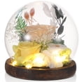 thumbnail image 5 of Eternal Rose Flowers for Decoration, Preserved Flowers in Glass Dome, Forever Champagne Rose Globe with Wooden Base, Unique Dry Flower Present for Loved Ones in Special Occasions, 5 of 5