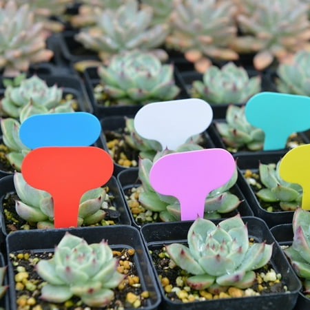 Waterproof Flower Pot - 100pcs Tags for Gardening Plant T Shape Waterproof Tags Flower Vegetable Planting Label Tools Garden Tray Lids