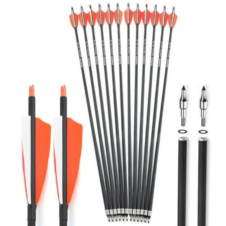 AME Pack of 12 Archery Carbon Arrows Feather 31 SP500 Recurve Compound Bow Hunting