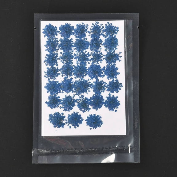 Pressed Dried Flowers for Cellphone Photo Frame Scrapbooking DIY Handmade Craft Blue 15~20x13~19mm 100pcs/bag