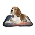 thumbnail image 2 of PKQWTM Baseball Ball on Fire Water Pet Dog Cat Bed Pee Pads Mat Cushion Potty Dogsblankets Crate Bed Kennel 25x30 inch, 2 of 3