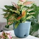 thumbnail image 2 of Macetas Para Plantas Macetas De Plástico Con Múltiples Agujeros Y Bandejas Macetas Para Plantas De Interior Y Exterior Flores Suculentas Decoración Moderna Para La Oficina En Casa, 2 of 5