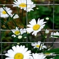 thumbnail image 5 of Fencer Wire Rabbit Guard Fence, 16 Gauge Galvanized Welded Wire Fence for Preventing Rabbits, Dogs, Cats, Chickens, and Other Small Animals from Damaging The Garden (40 in. x 50 ft.), 5 of 7